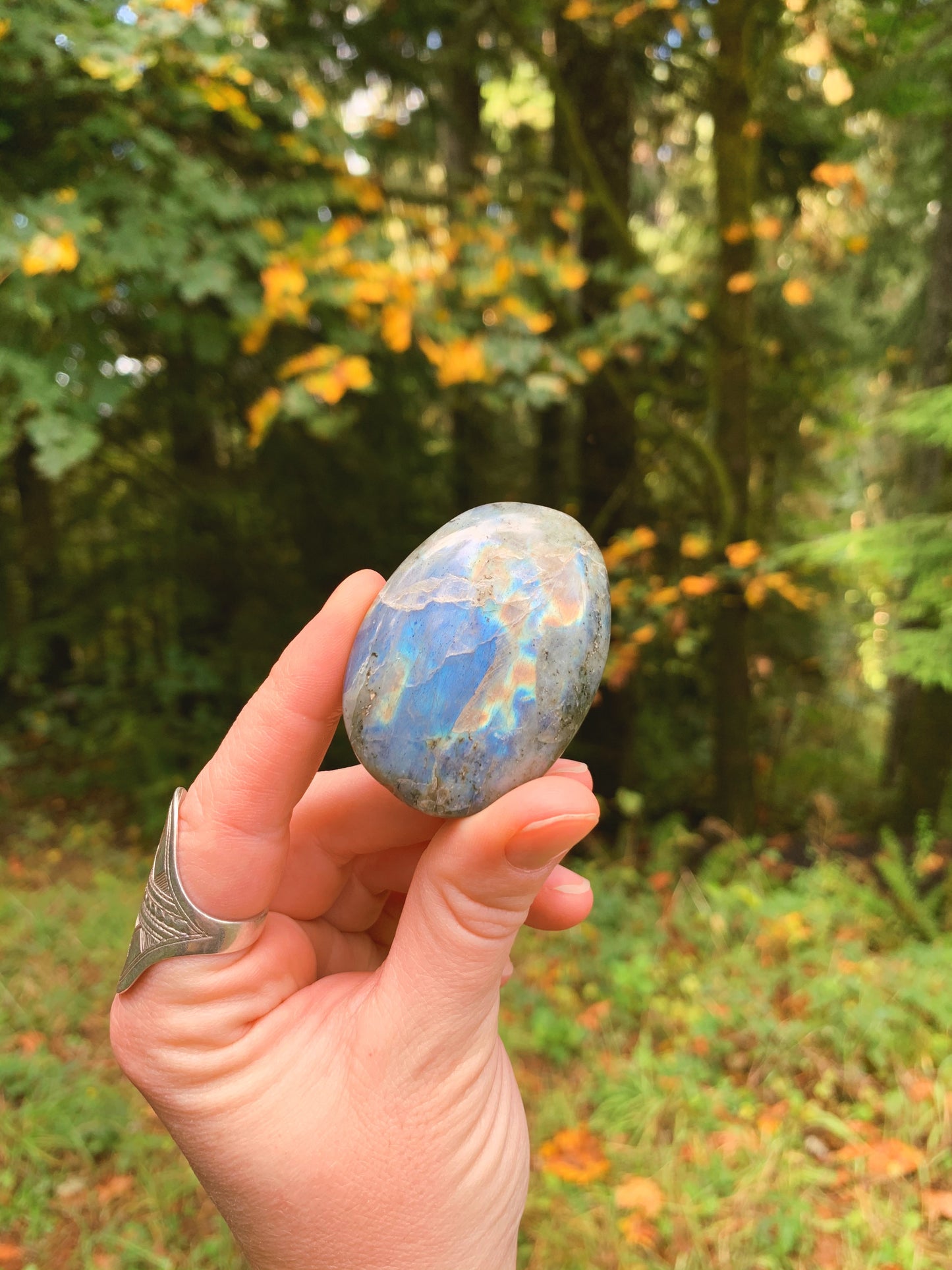 Labradorite Palm Stone